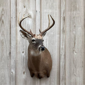 Meet your Posher, Berryman